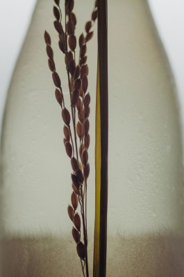 和久屋傳右衛門｜Wakuyadenemon