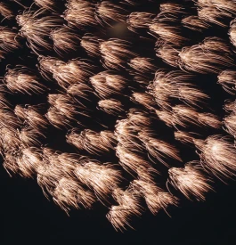 和久屋傳右衛門|Wakuyadenemon