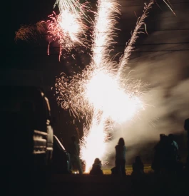 和久屋傳右衛門|Wakuyadenemon