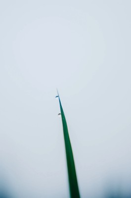 和久屋傳右衛門｜Wakuyadenemon