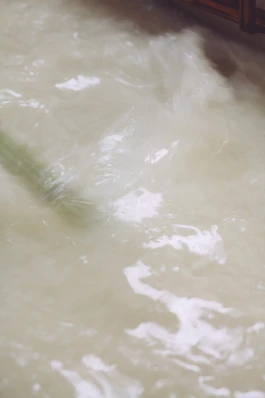 和久屋傳右衛門｜Wakuyadenemon