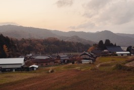 和久屋傳右衛門|Wakuyadenemon