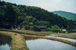 和久屋傳右衛門|Wakuyadenemon