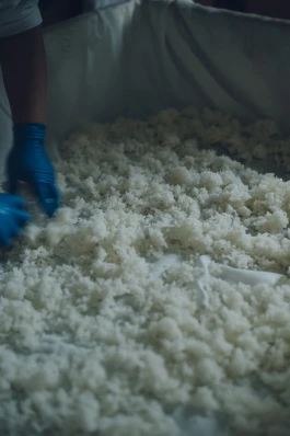 和久屋傳右衛門｜Wakuyadenemon