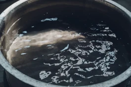 和久屋傳右衛門｜Wakuyadenemon