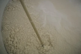 和久屋傳右衛門｜Wakuyadenemon