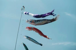 和久屋傳右衛門|Wakuyadenemon