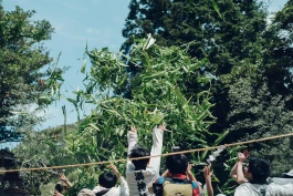 和久屋傳右衛門|Wakuyadenemon