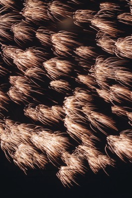 和久屋傳右衛門｜Wakuyadenemon