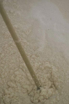 和久屋傳右衛門｜Wakuyadenemon